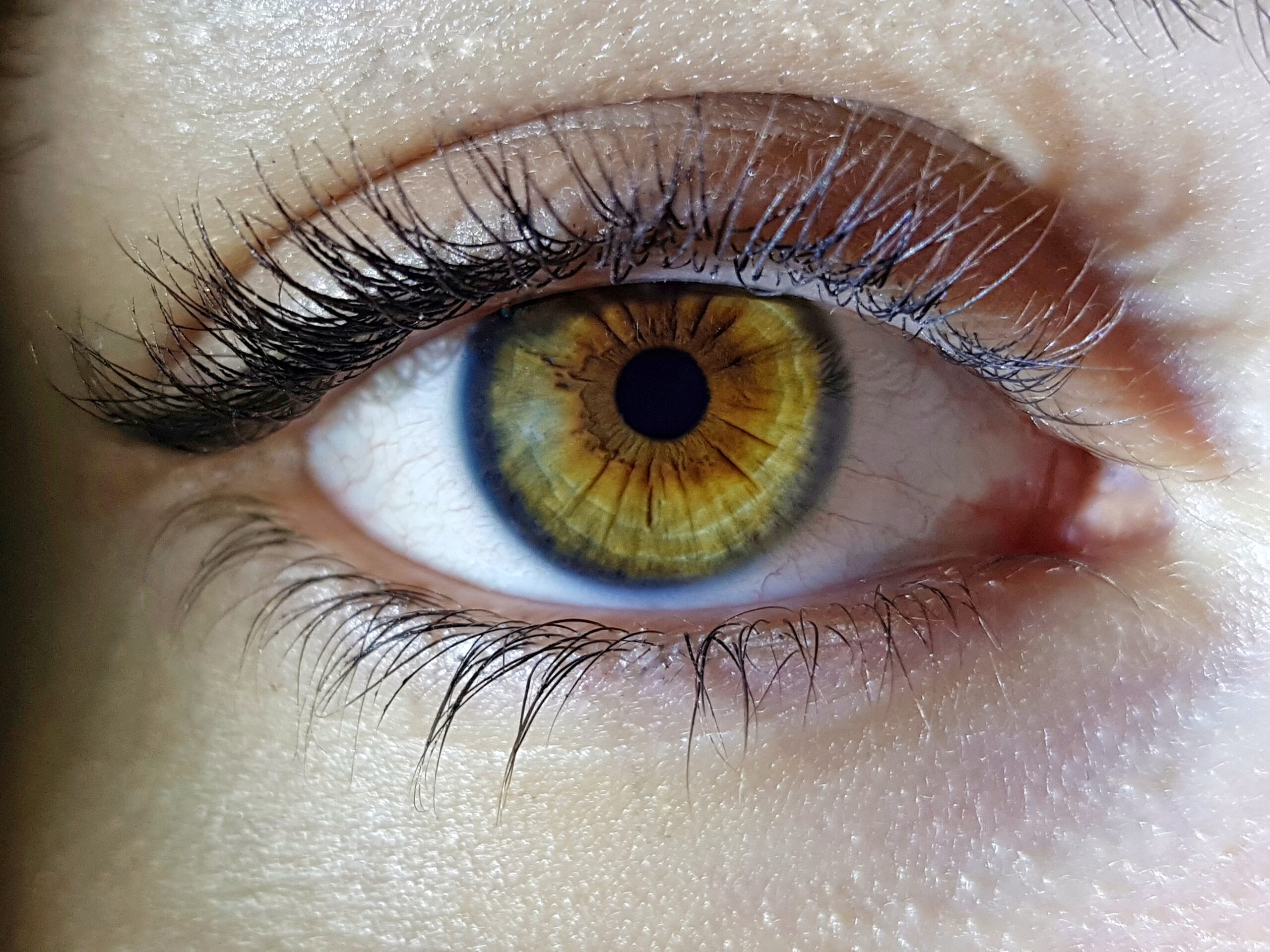 ojo luteína