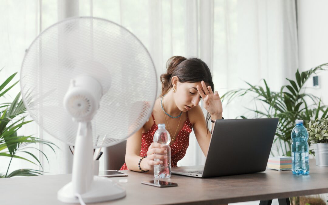 Los efectos del calor: Causas y como evitarlos